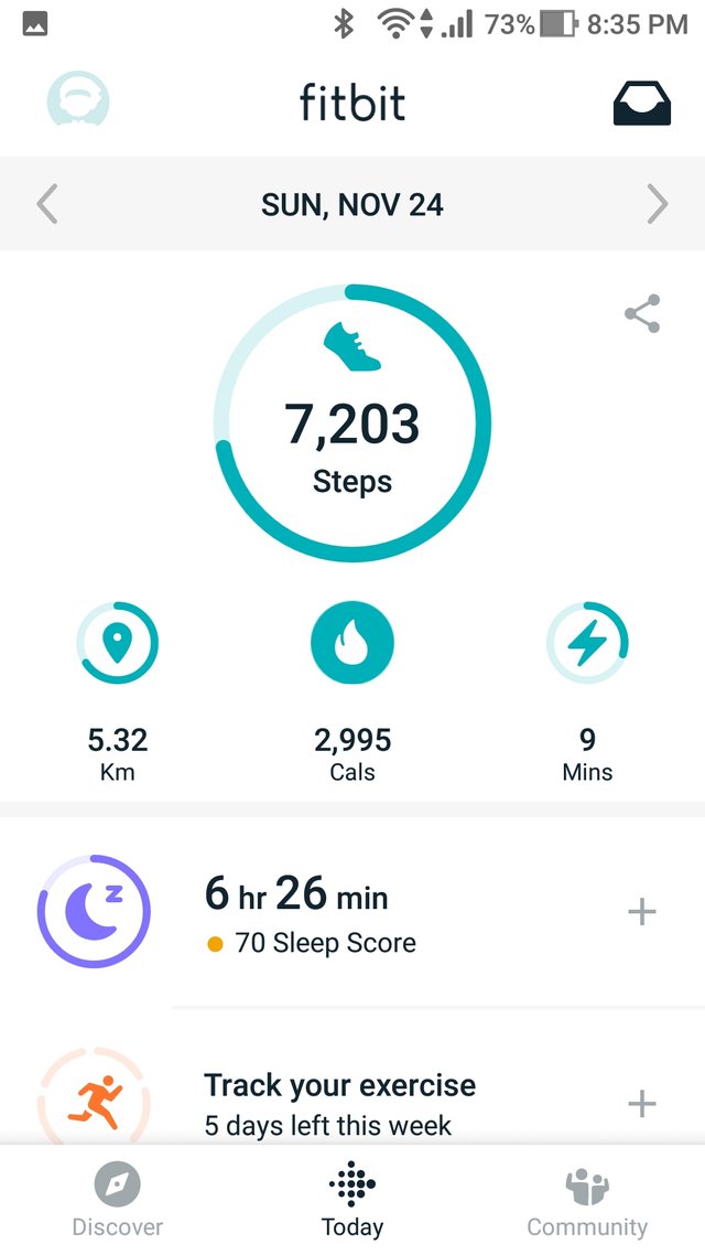 Fitbit picture 2025 with stats